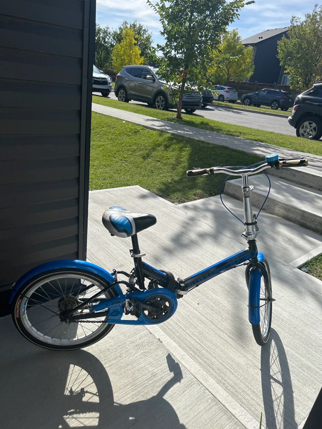 Laux Folding Bicycle