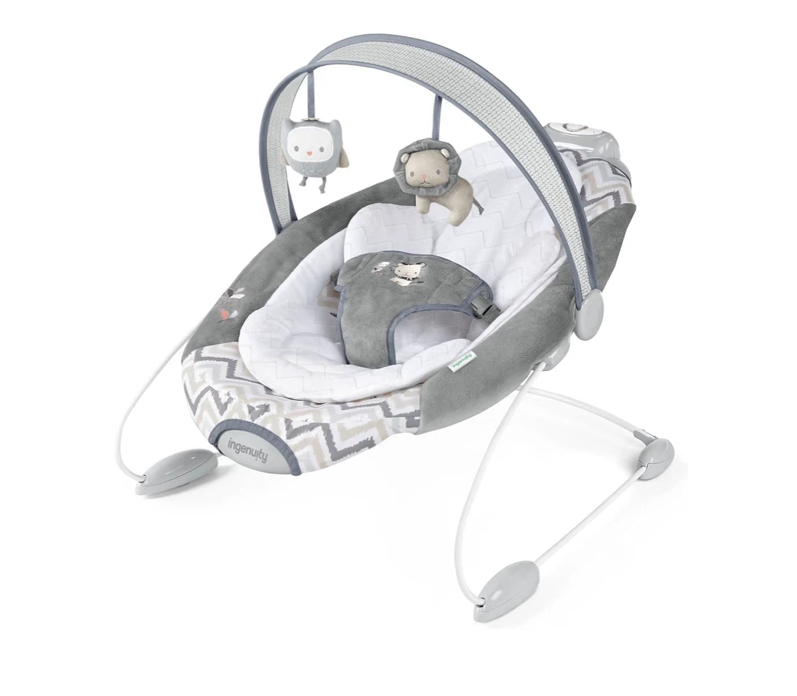 Ingenuity Baby Bouncer - photo 2