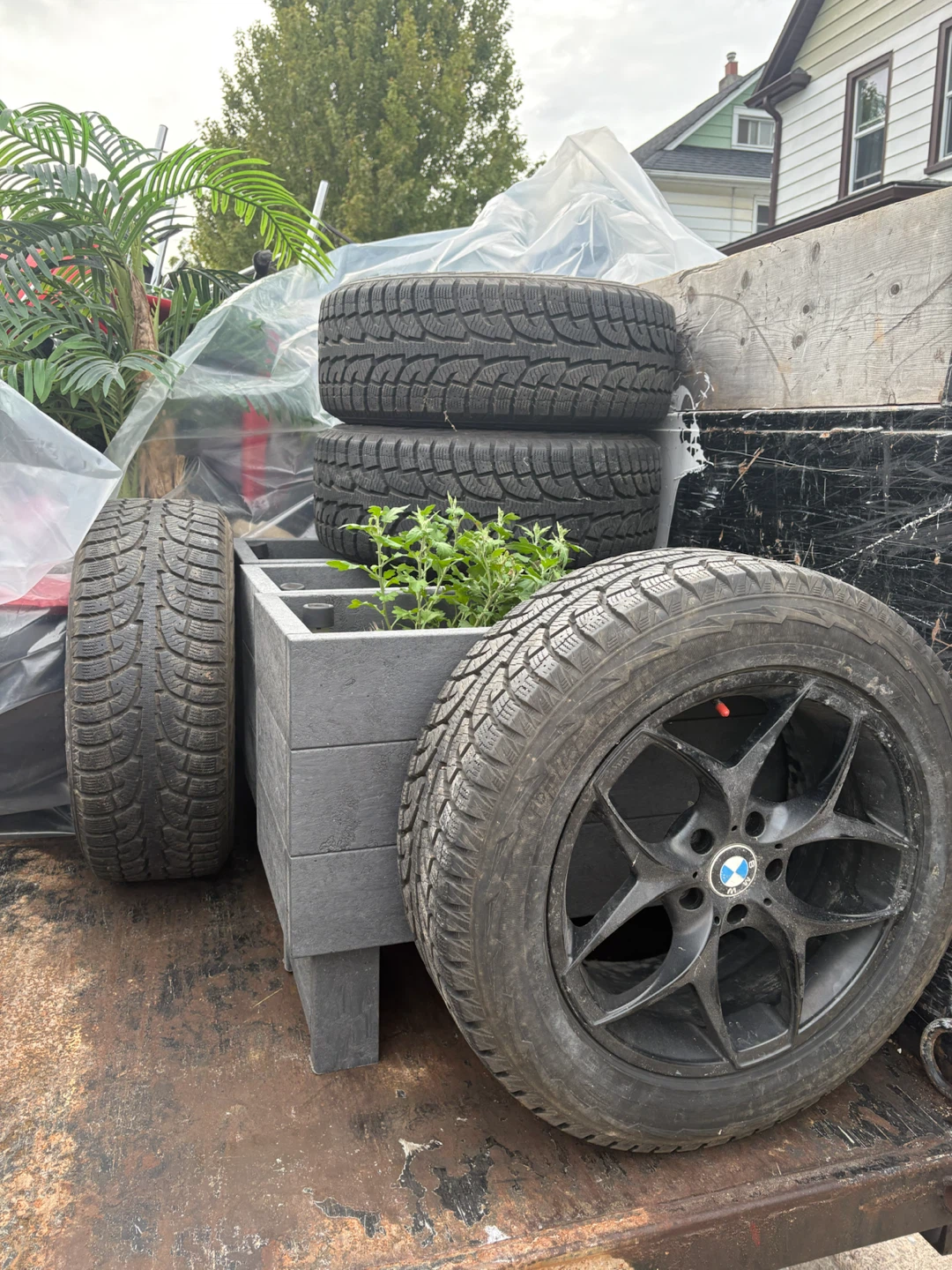 Hankook Winter Tires with BMW Rims