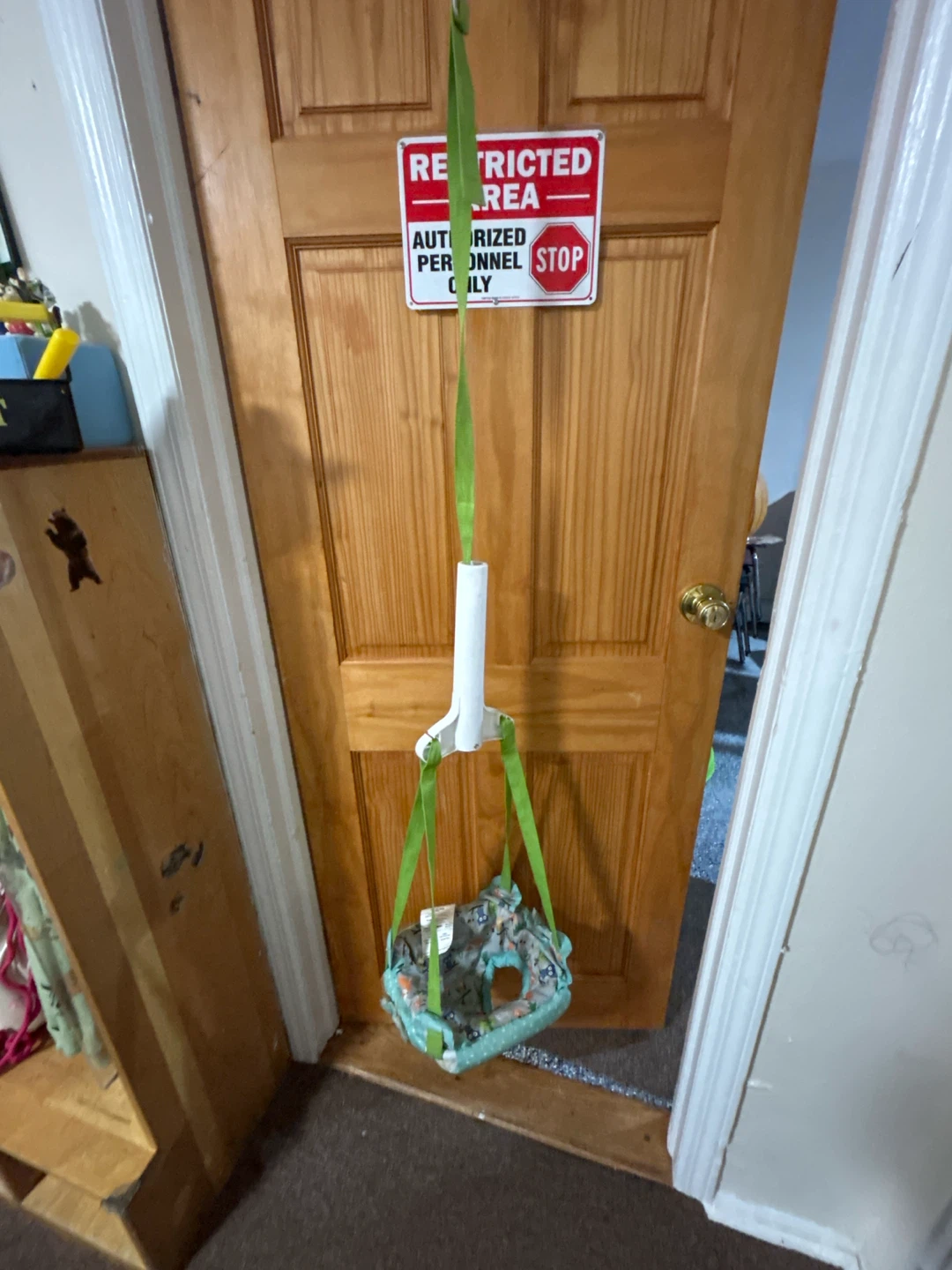 Doorway Baby Jumper