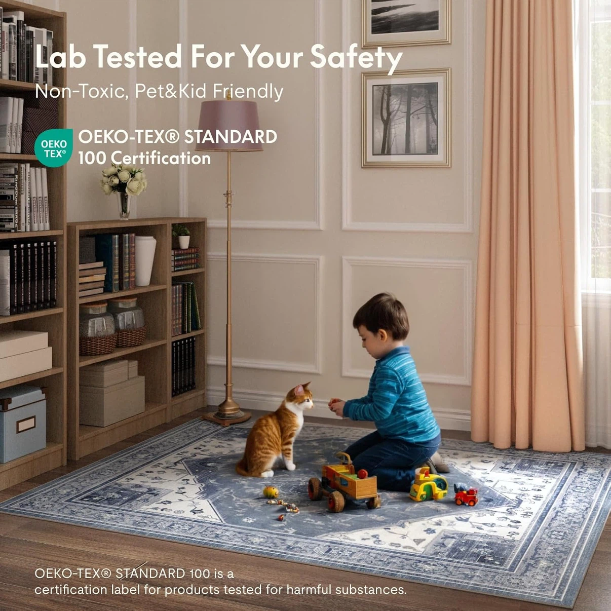5’x7’ area rug