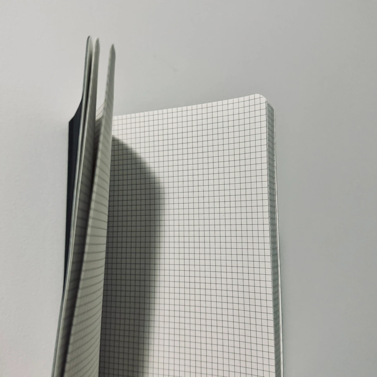 Brand new Grid Notebook with pocket 🏈