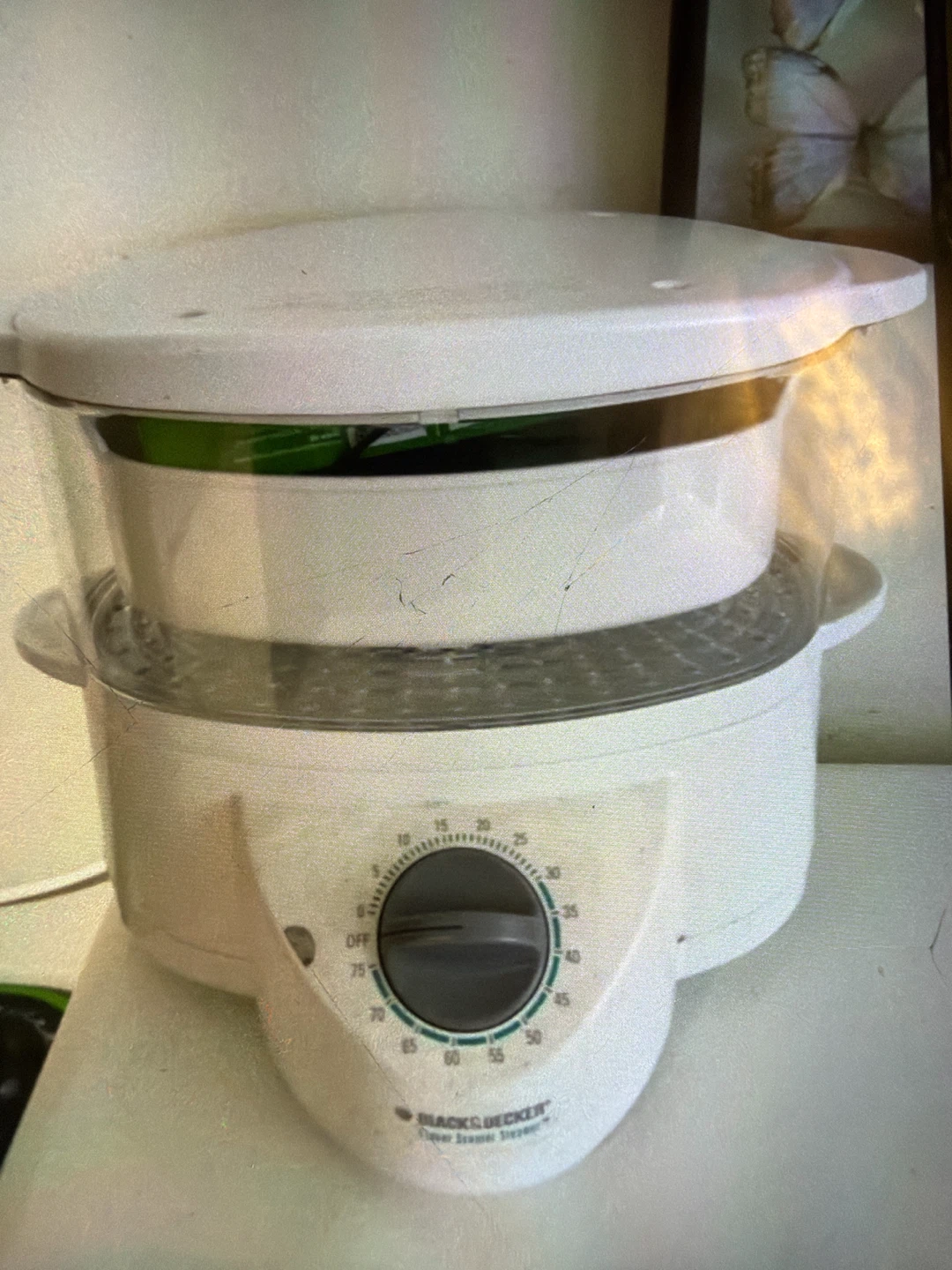 Black and Decker Food Steamer