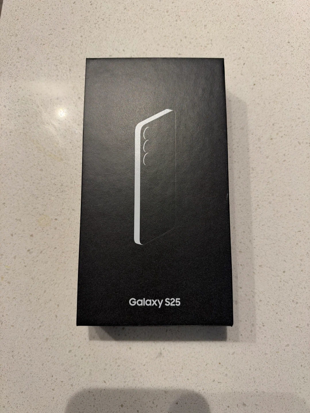 Samsung Galaxy S25