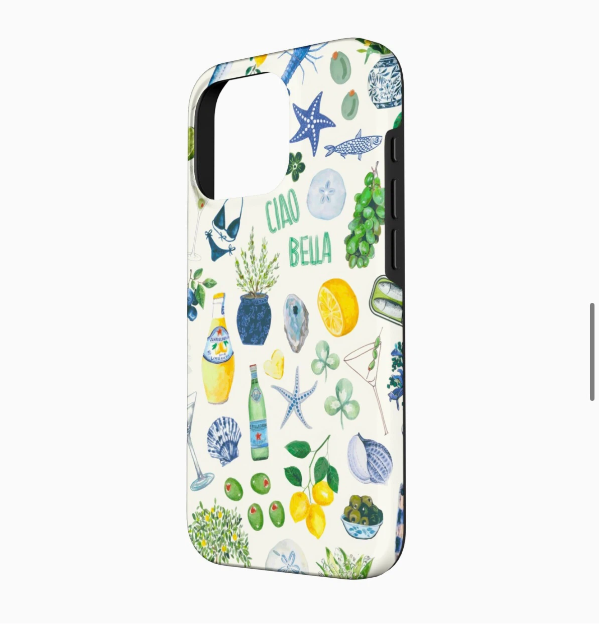 iPhone 16 Pro Case