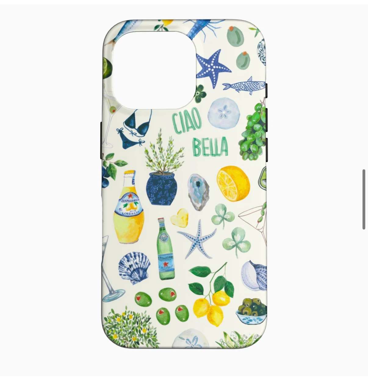 iPhone 16 Pro Case - photo 2