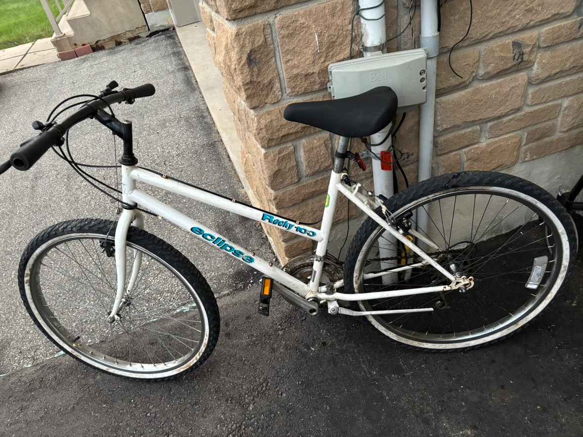 Adult bike on sale (26”)