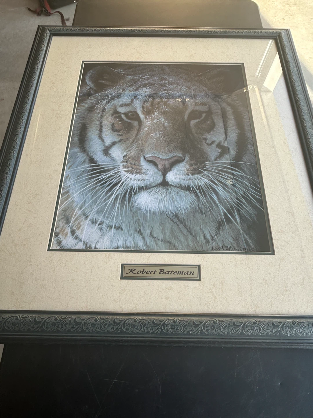 Robert Bateman Tiger Framed Print