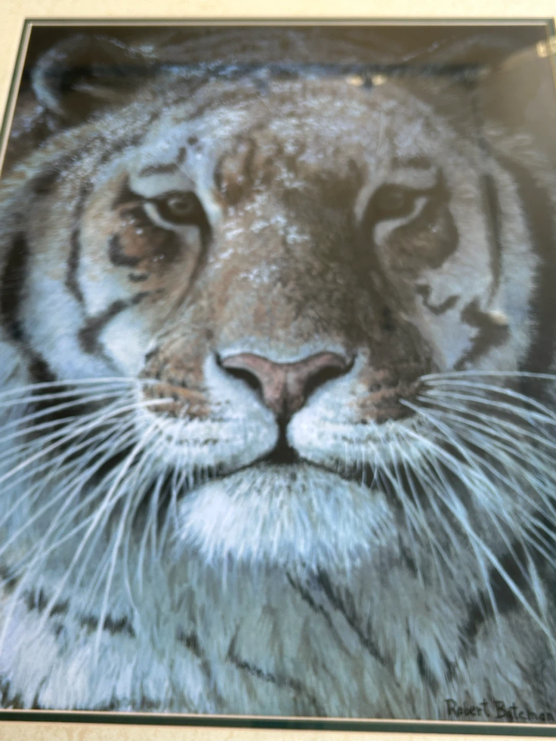 Robert Bateman Tiger Framed Print - photo 3