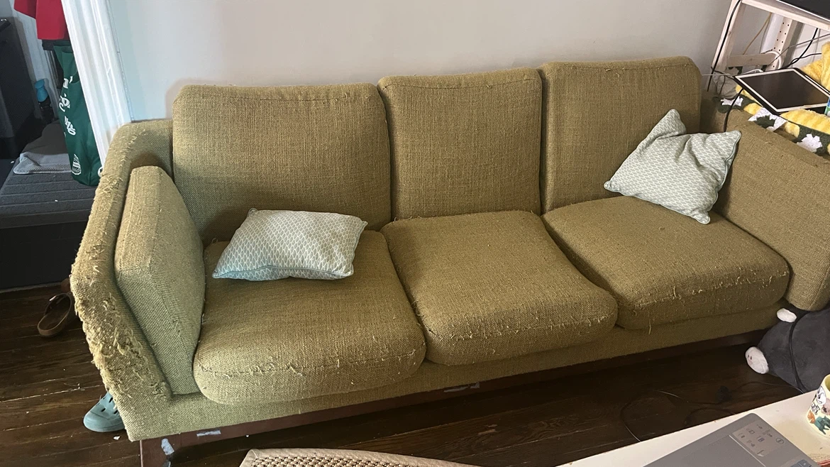 Green Couch and Mid Century Modern Tv Stand