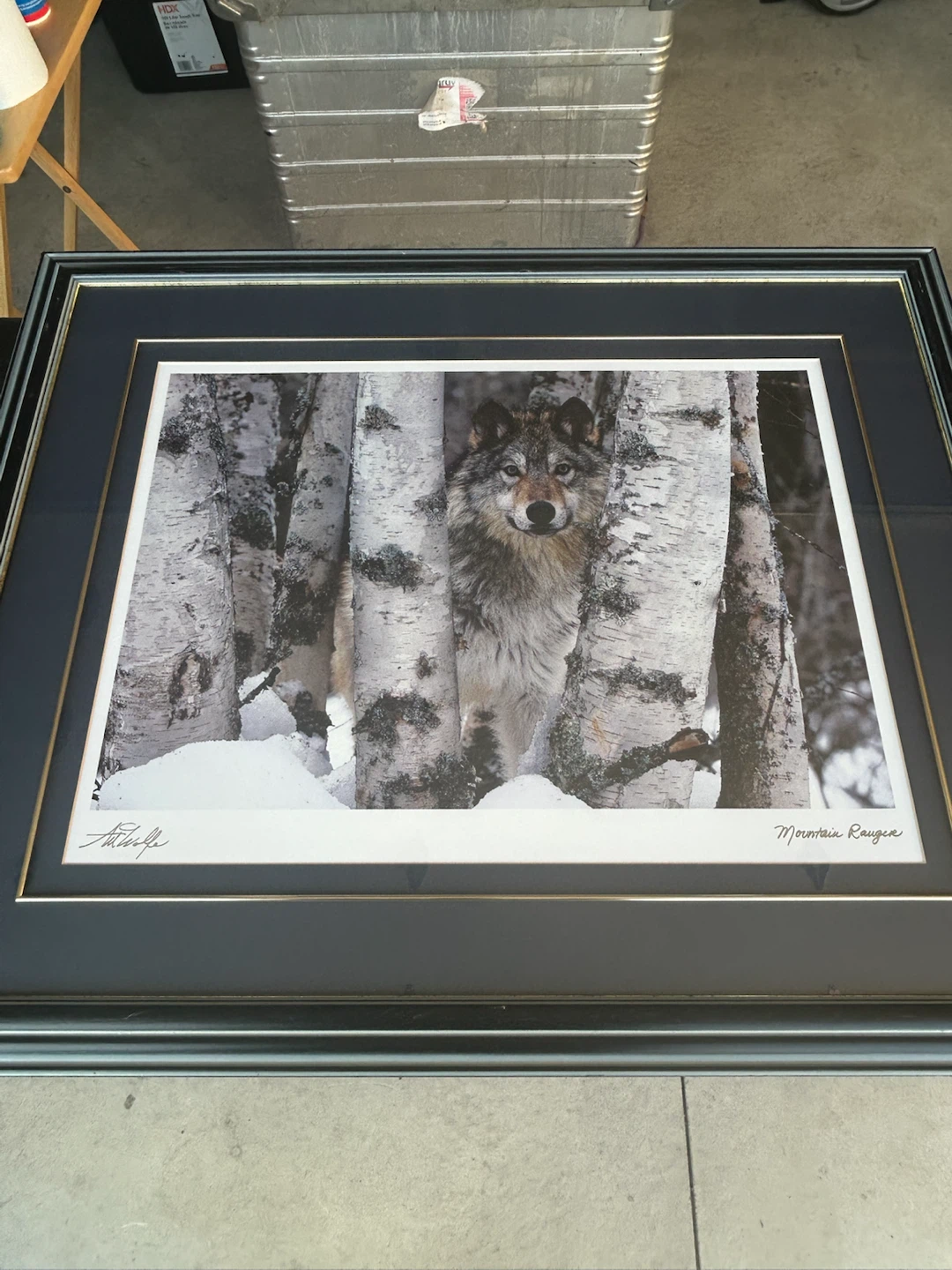 Art Wolfe Mountain Ranger Framed Print