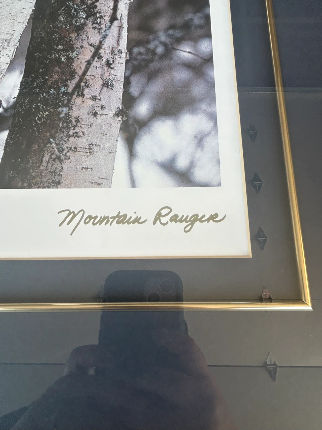 Art Wolfe Mountain Ranger Framed Print - photo 2