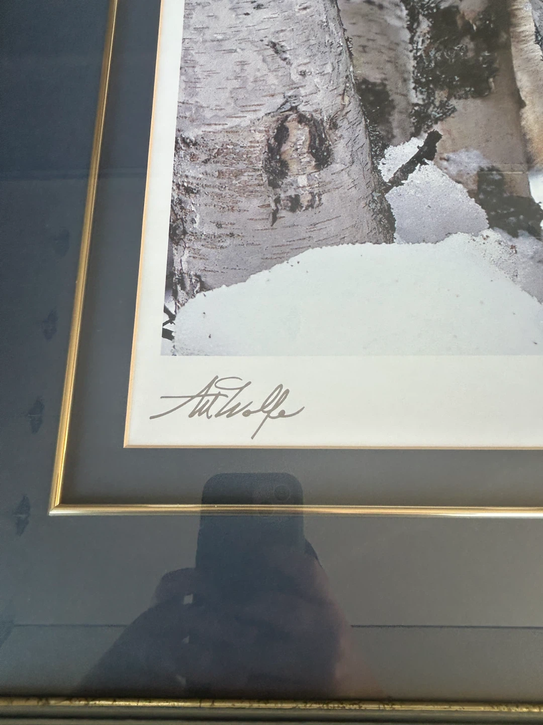 Art Wolfe Mountain Ranger Framed Print - photo 3