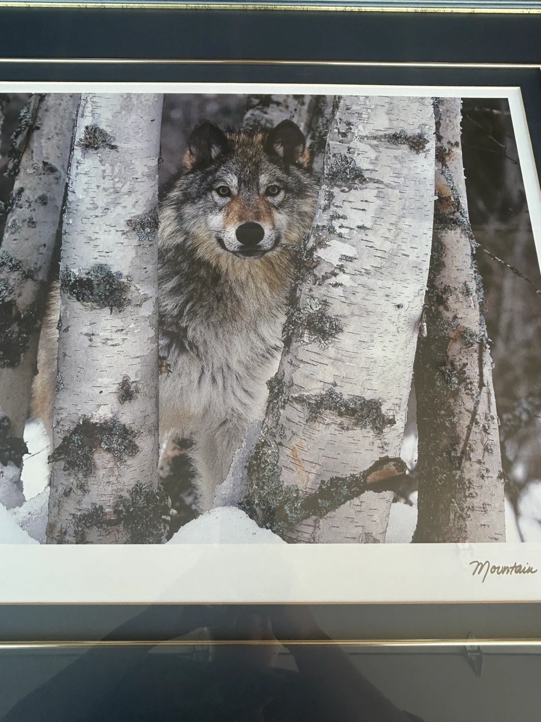 Art Wolfe Mountain Ranger Framed Print - photo 4