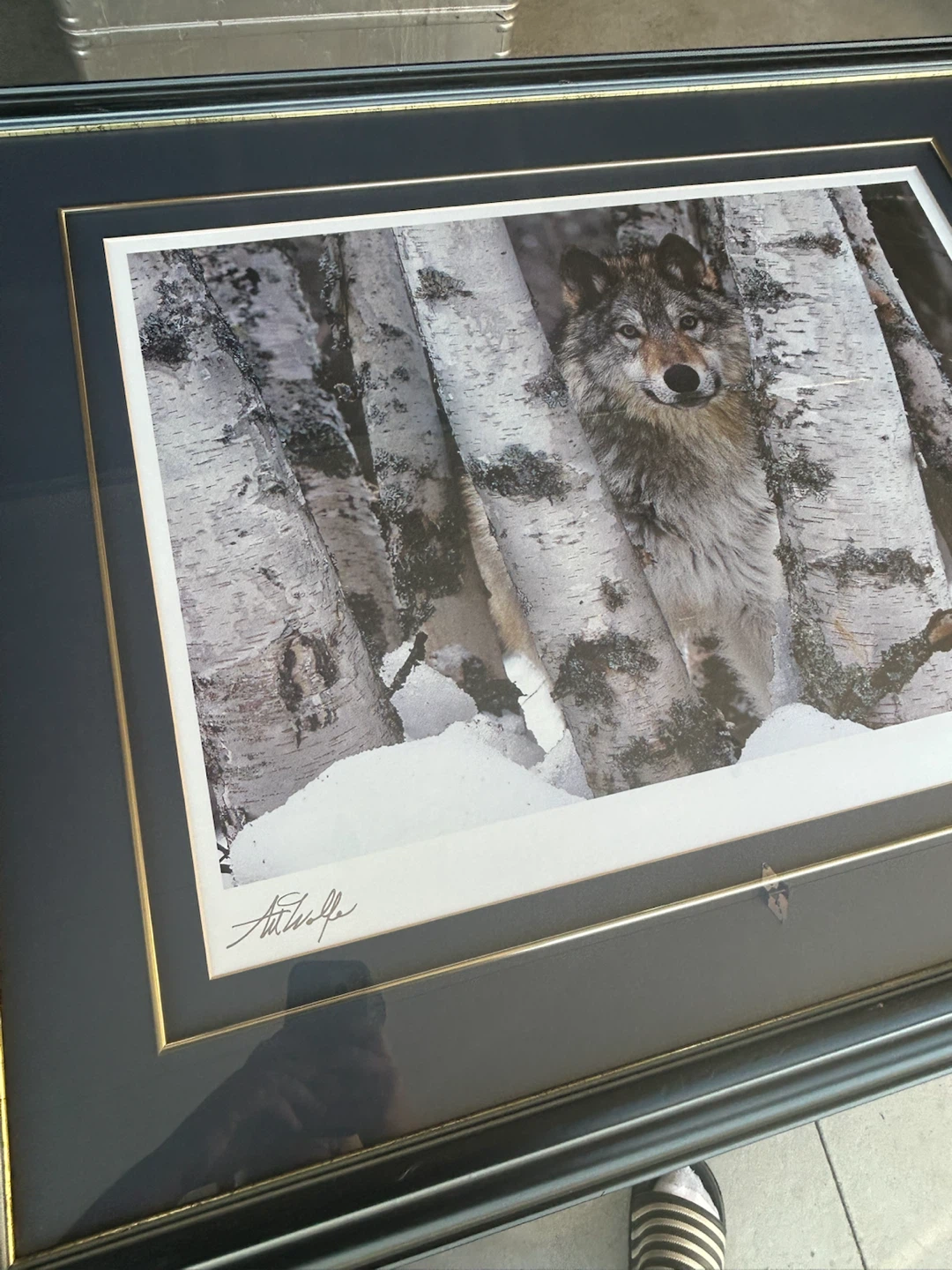 Art Wolfe Mountain Ranger Framed Print - photo 5