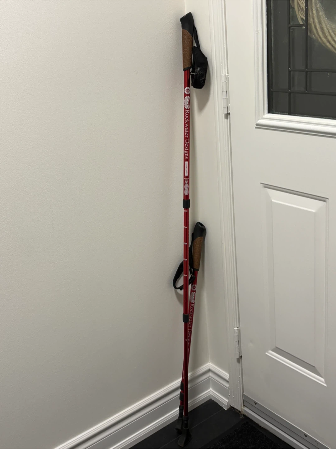 Pair Hiking Trekking Poles telescopic outdoor - photo 2