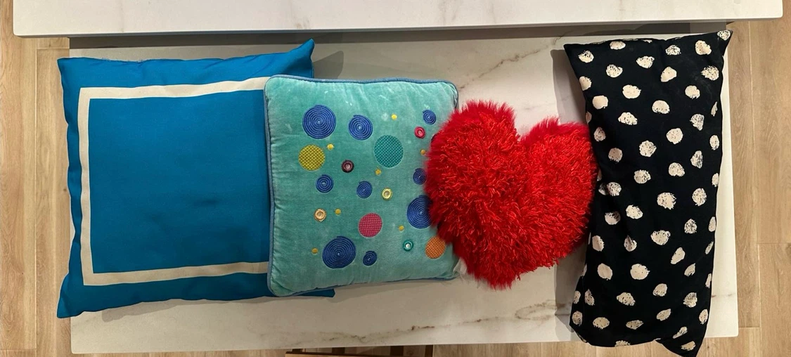 Set of 4 Decorative Throw Pillows – $5 Each or $20 Total