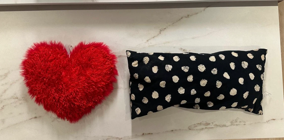 Set of 4 Decorative Throw Pillows – $5 Each or $20 Total - photo 2