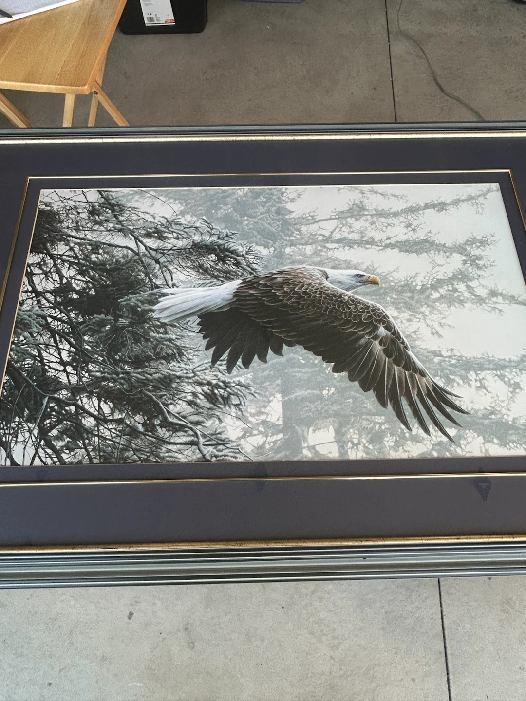 R.S. Parker Bald Eagle Framed Print