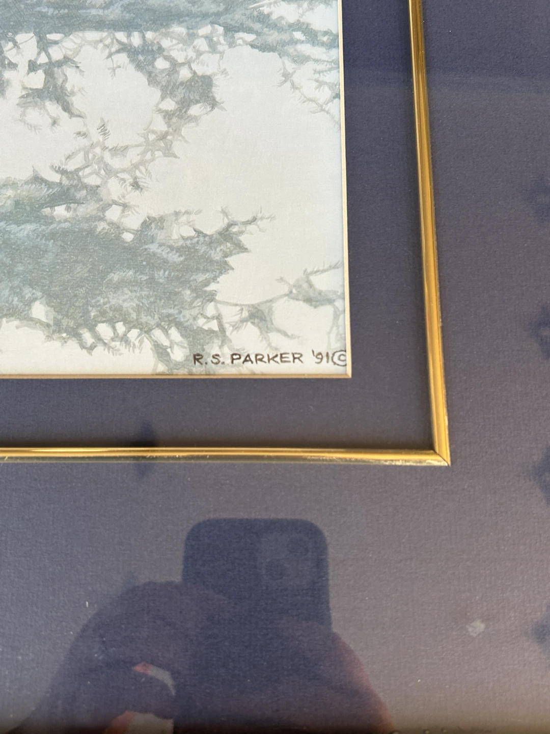 R.S. Parker Bald Eagle Framed Print - photo 2