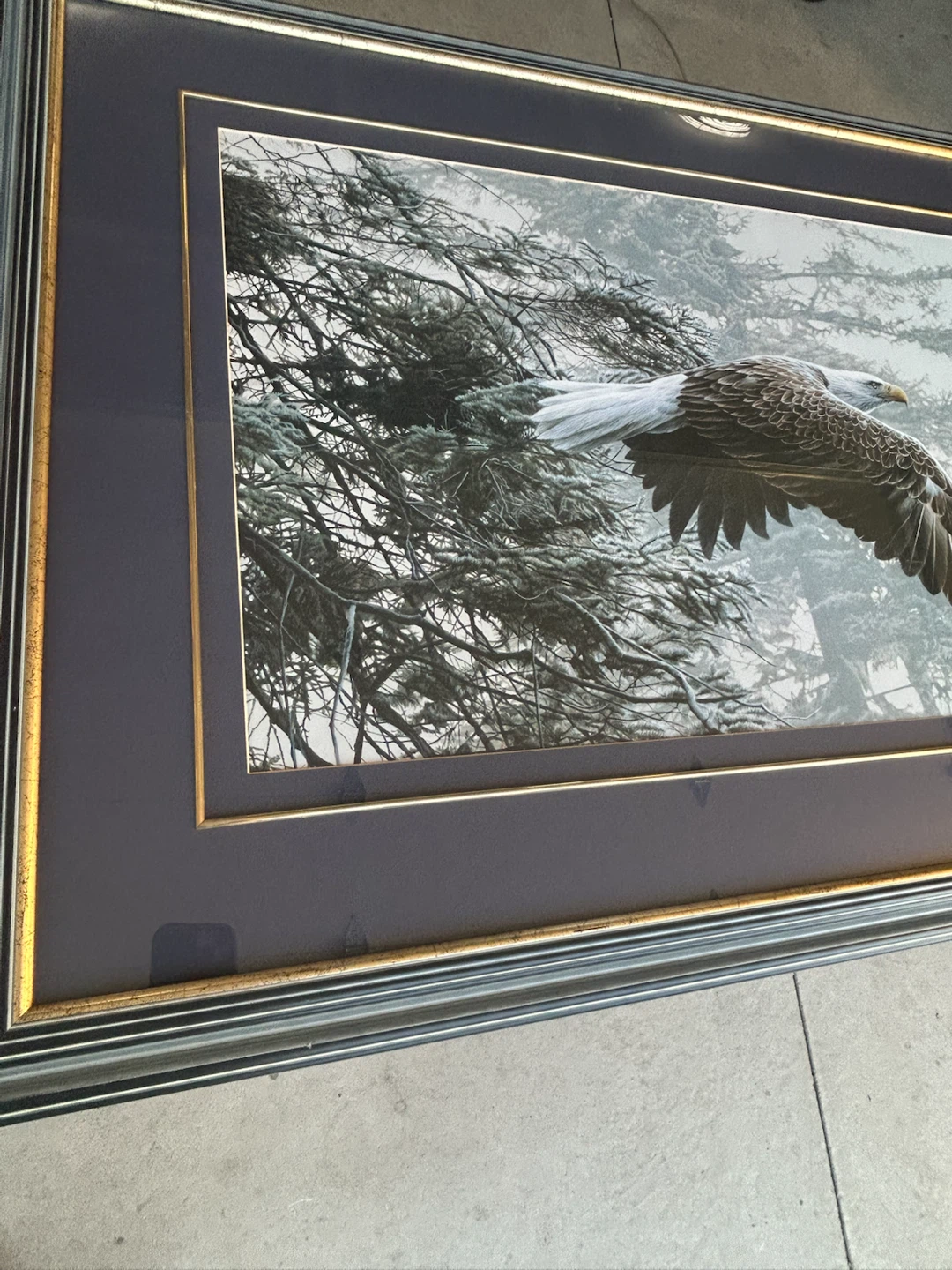 R.S. Parker Bald Eagle Framed Print - photo 4