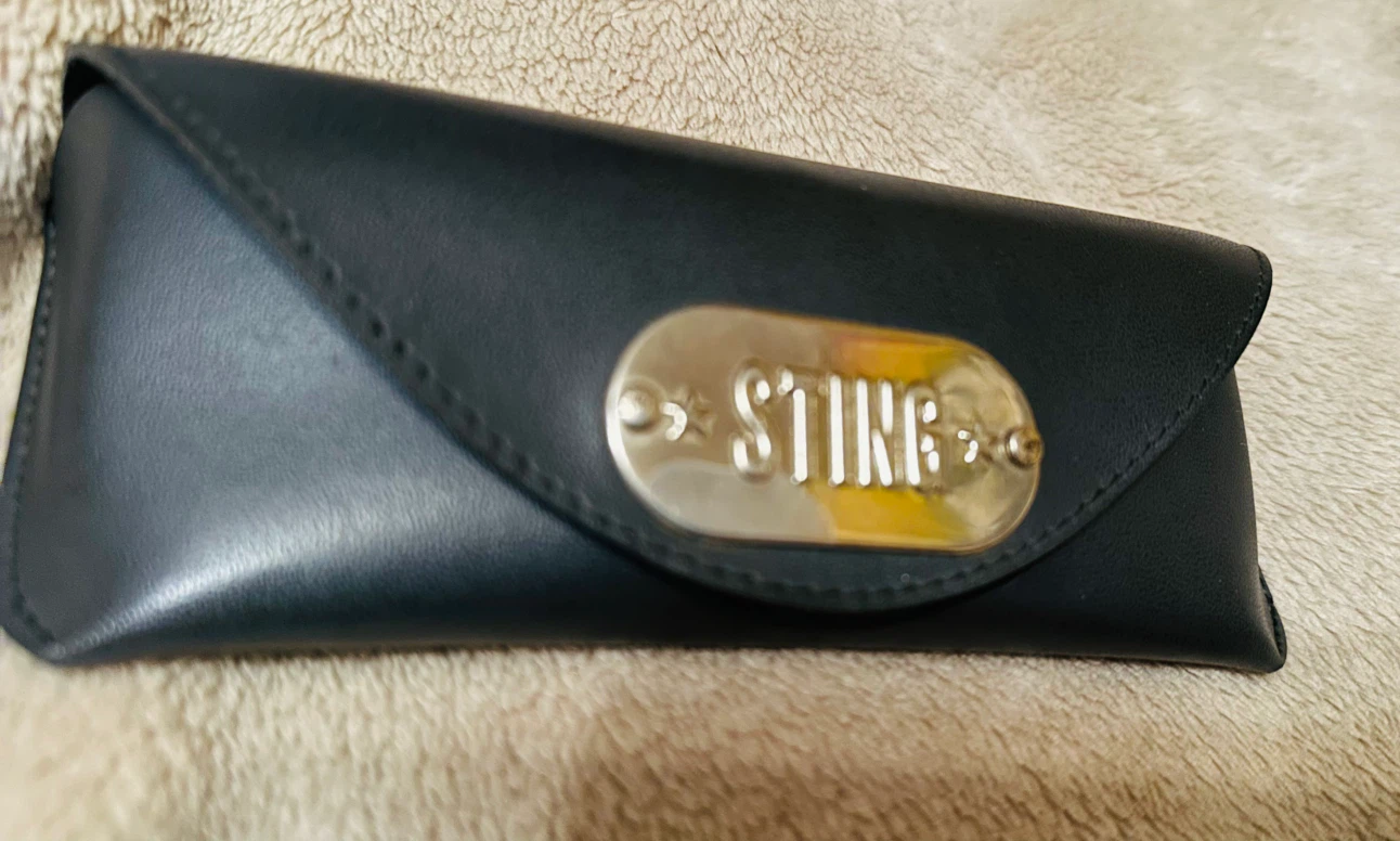 Sting Eyeglass Case