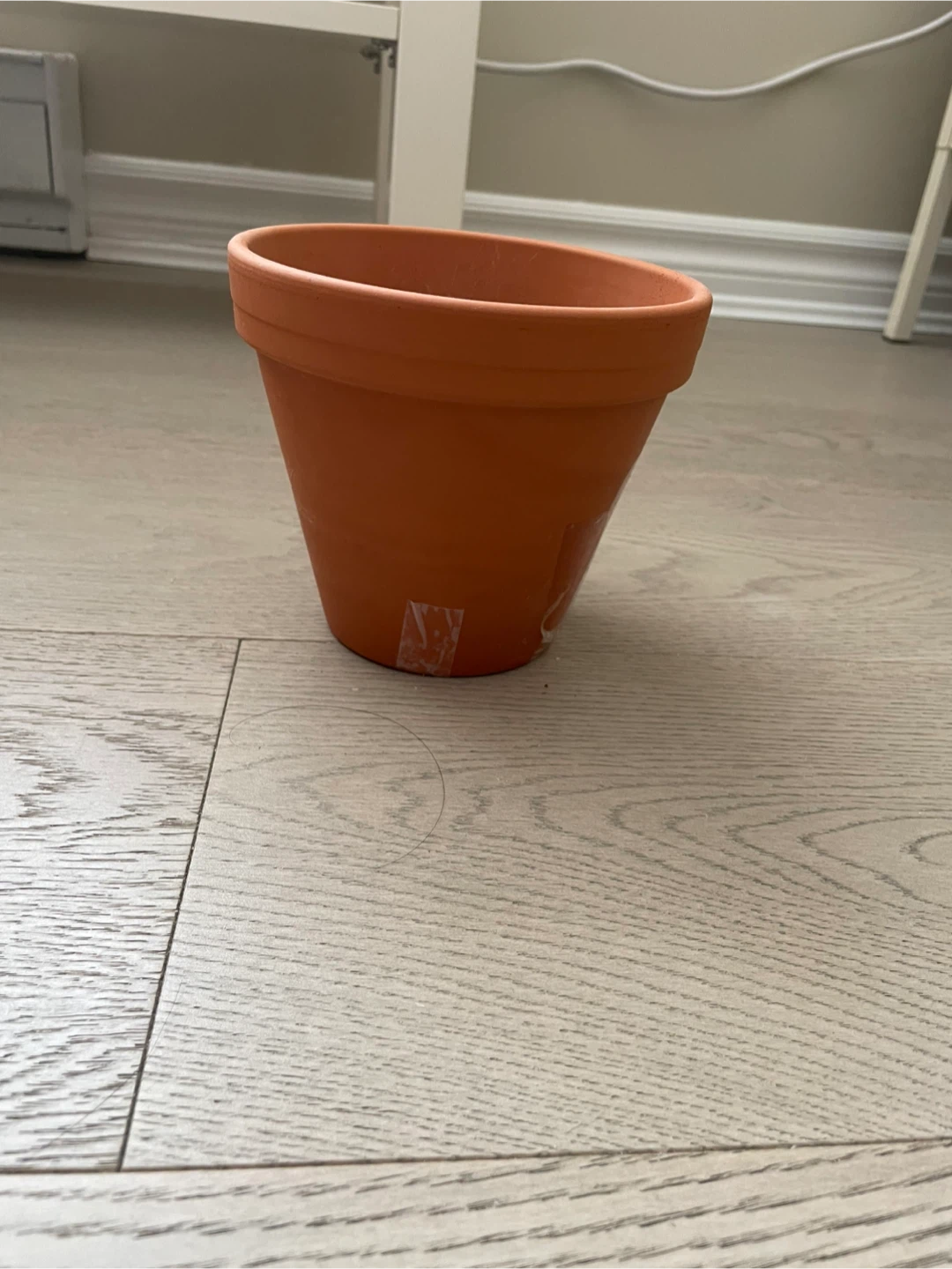 Terracotta plant pot 🏈