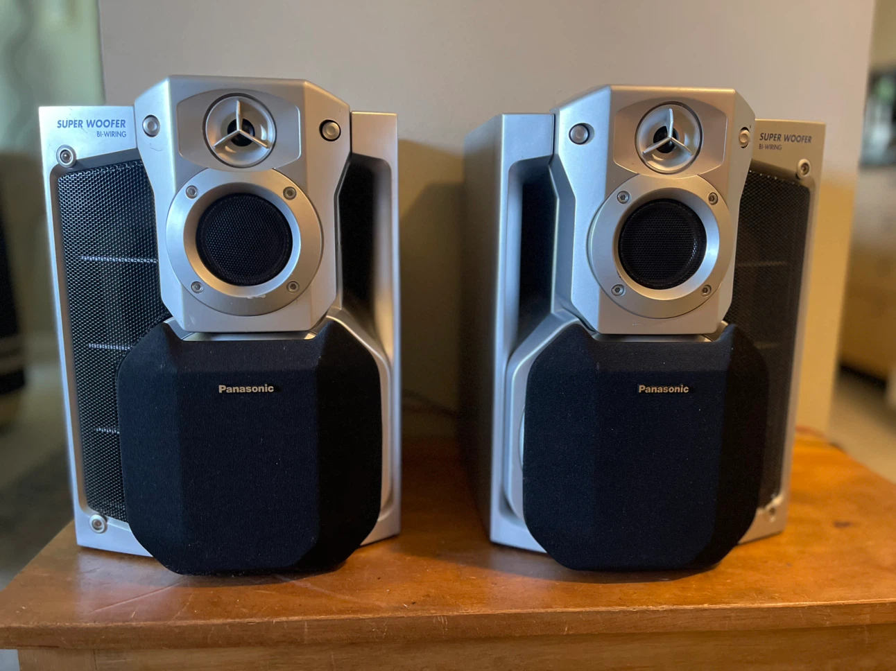 Panasonic Super Woofer Bi-Wiring Speakers