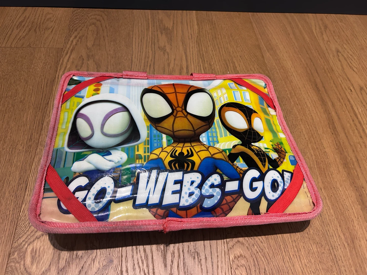 Spidey and His Amazing Friends Zippered Carrying Case