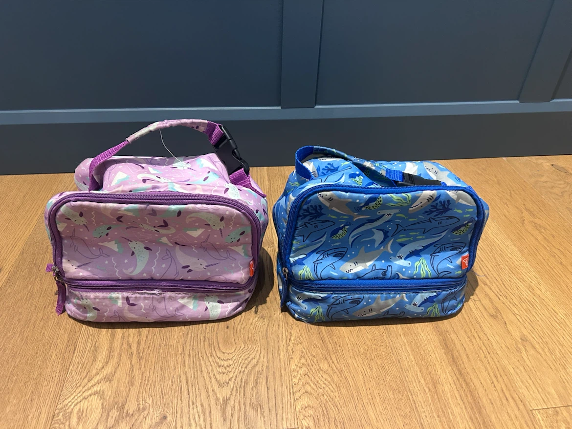 Two insulated lunch bags