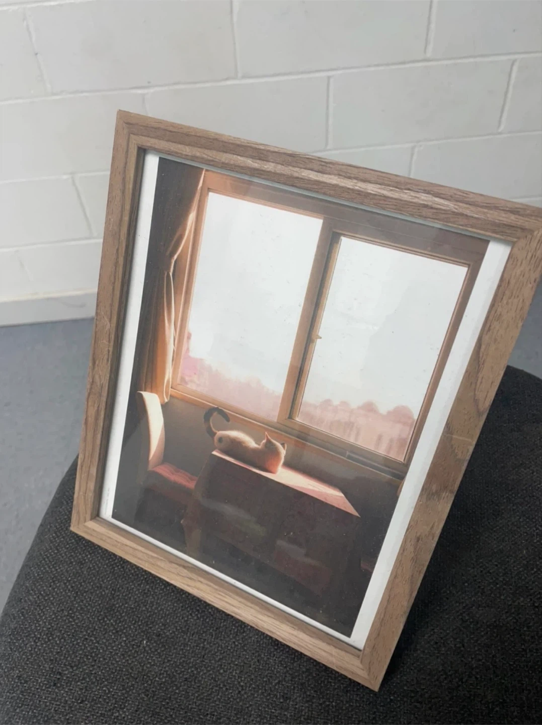Framed Cat Window Print 🏈