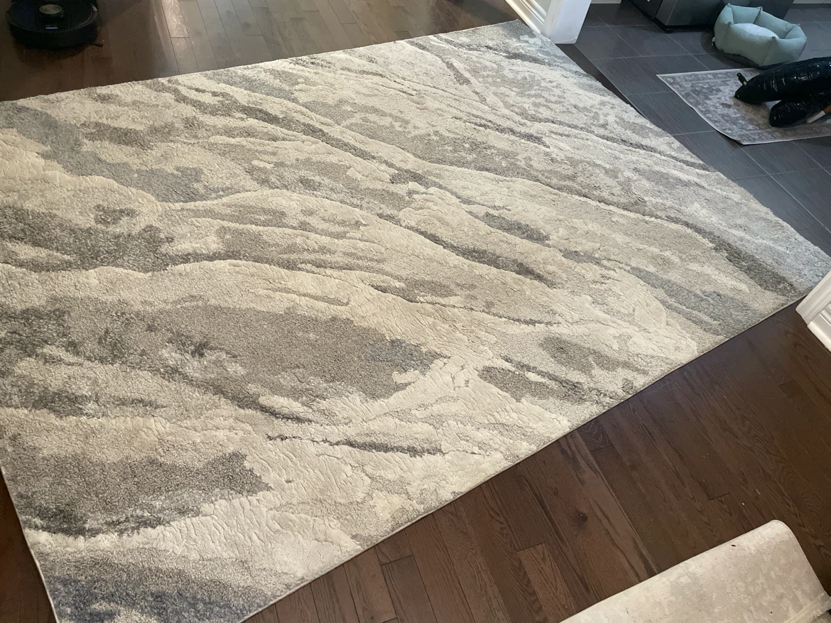 Safavieh Century Collection Area Rug, Grey/Blue - photo 2