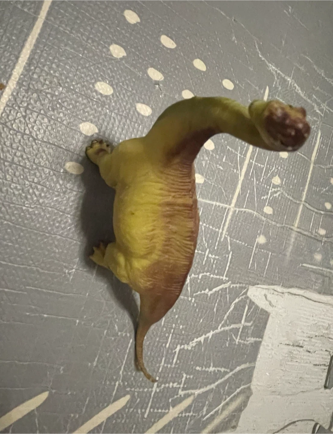Brachiosaurus Dinosaur Toy Figure 🏈