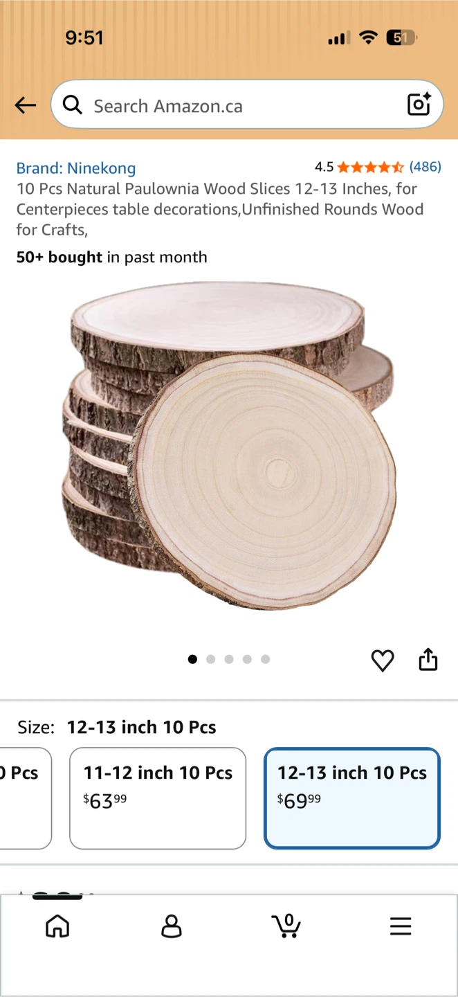 5 pcs unfinished Wood Slices