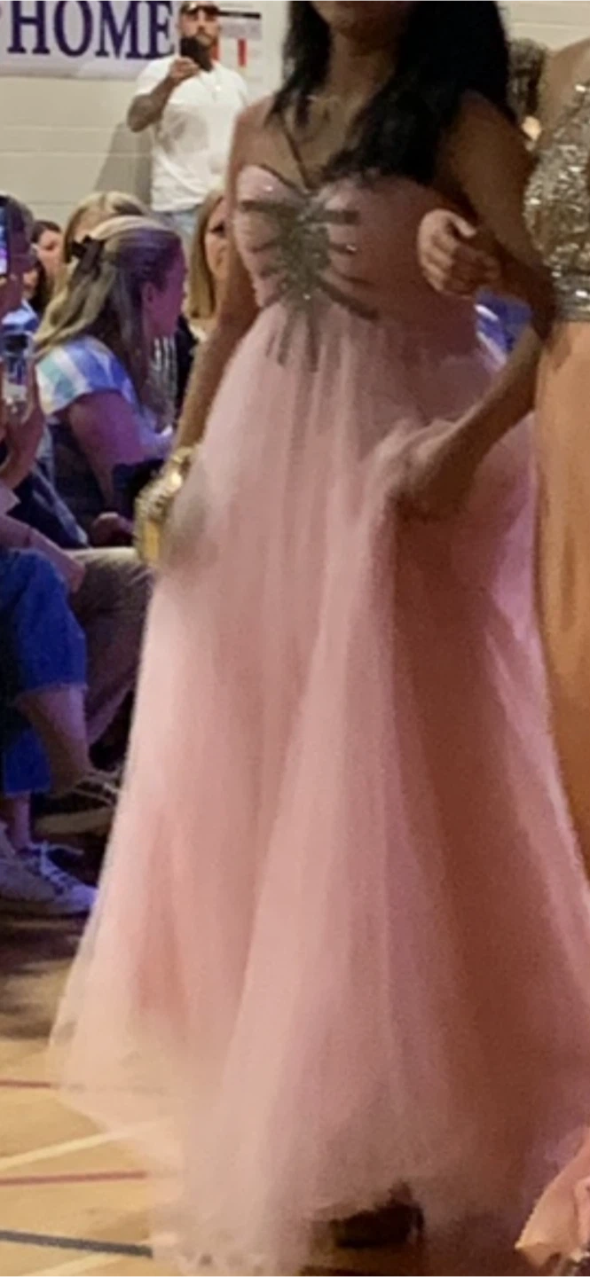 Pink Tulle Prom Dress with Rhinestone Detail and clutch included - photo 3