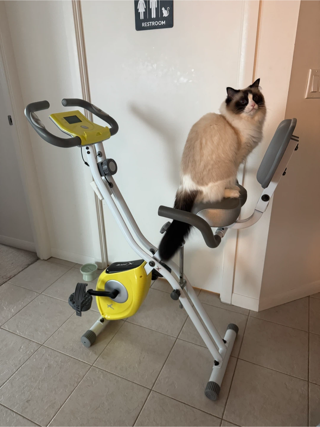 Foldable Exercise Bike