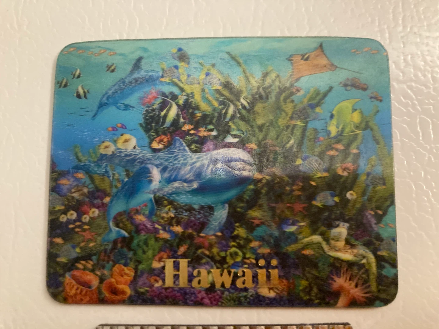 Hawaii Ocean Life Refrigerator Magnet🏈
