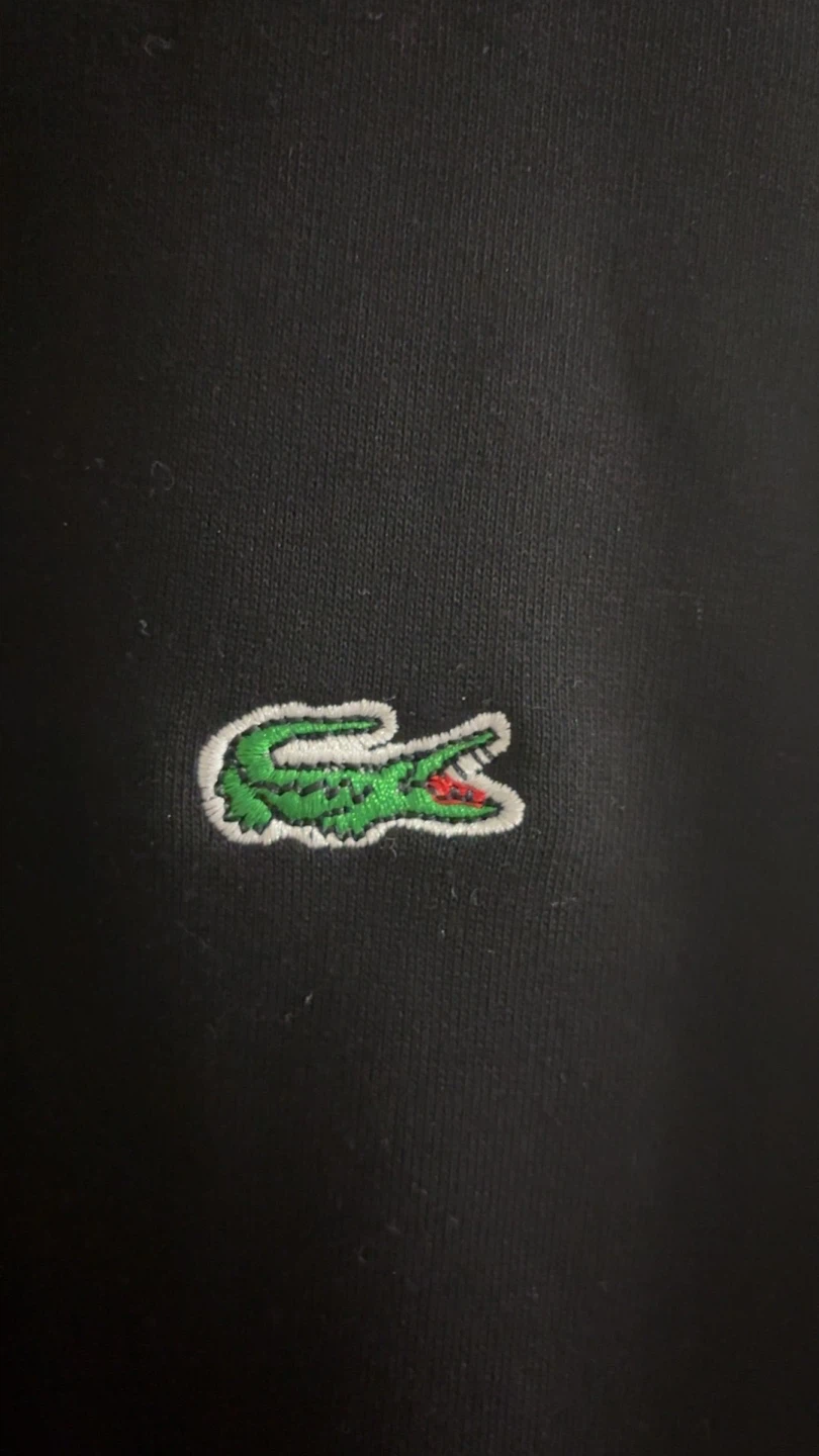 Lacoste Regular Fit Hoodie - Black - photo 2