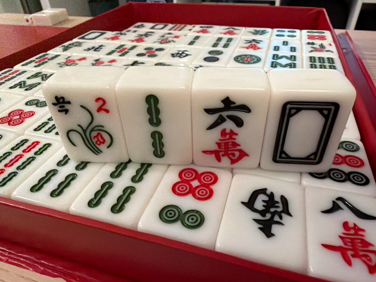 Mahjong Tile Set - photo 3