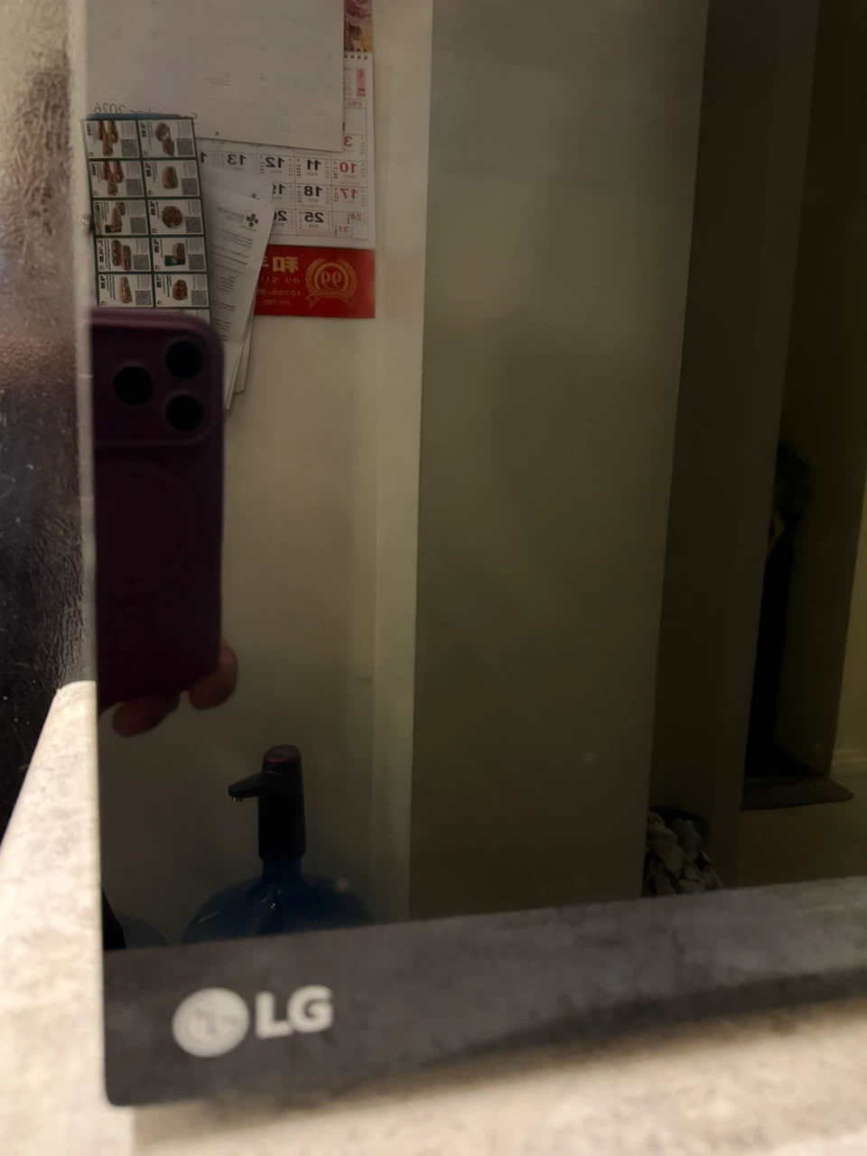 LG Smart Inverter Microwave - photo 4