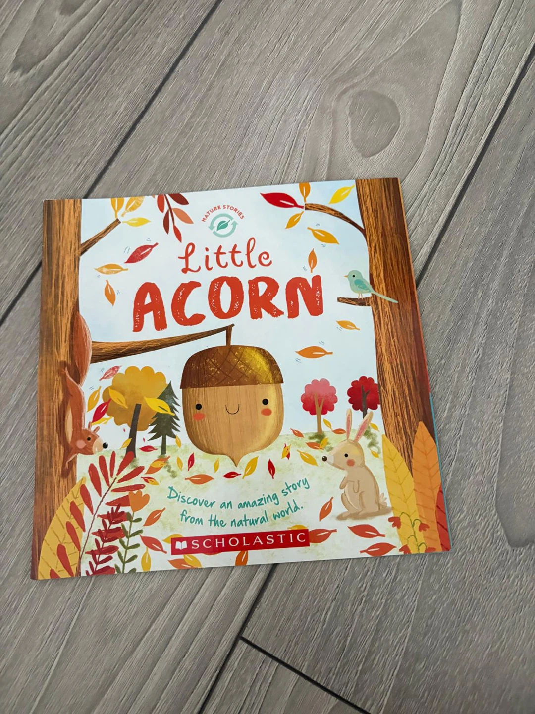 Little Acorn Book by Scholastic 🏈