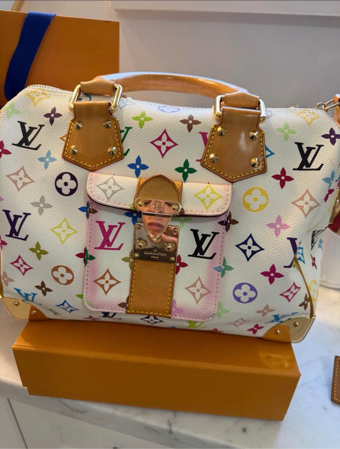 Louis Vuitton Multicolore Speedy
