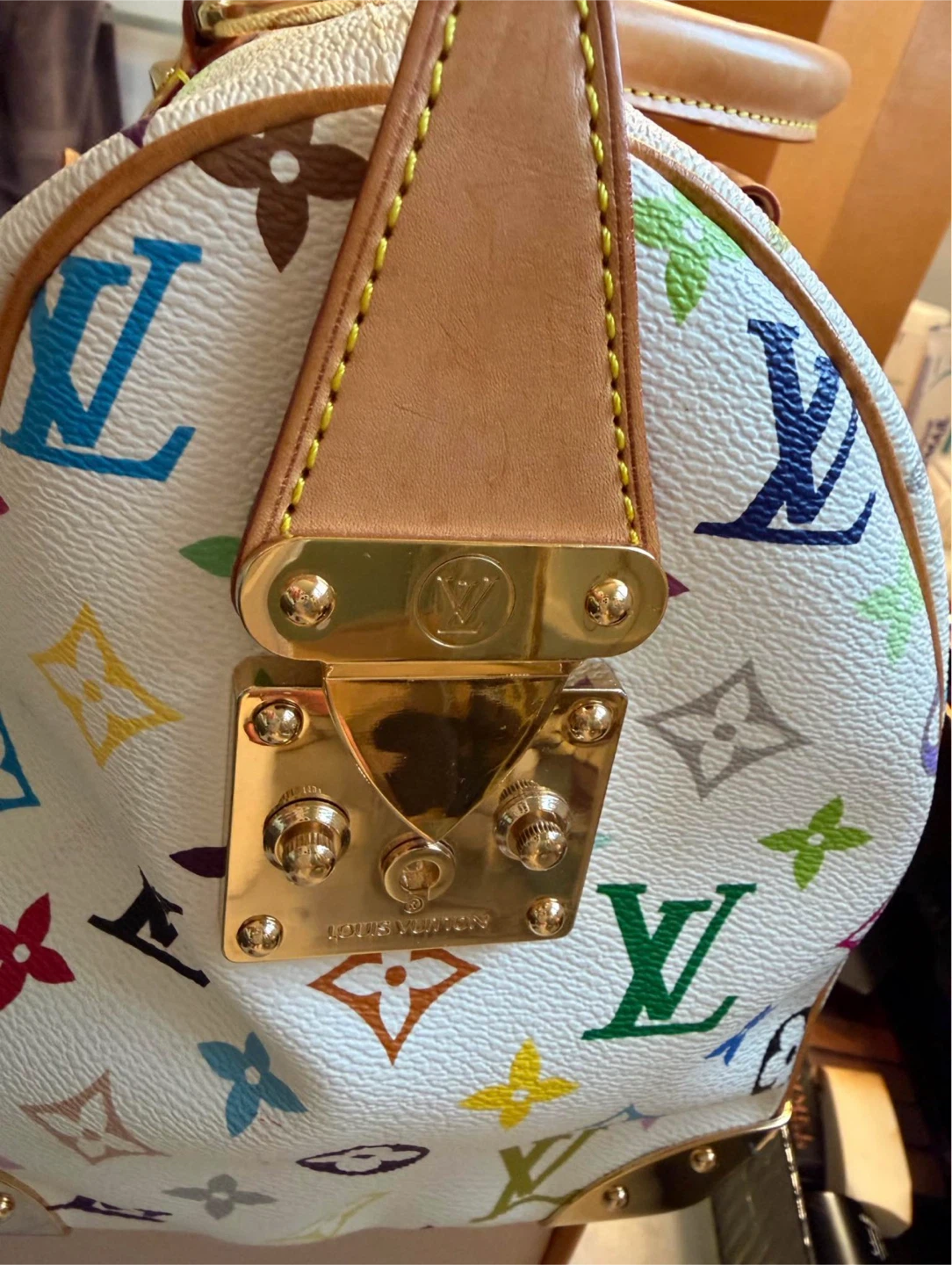 Louis Vuitton Multicolore Speedy - photo 3