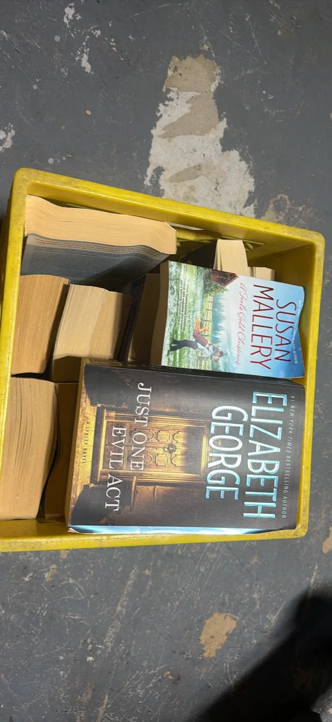 Assorted Books Including Susan Mallery and Elizabeth George