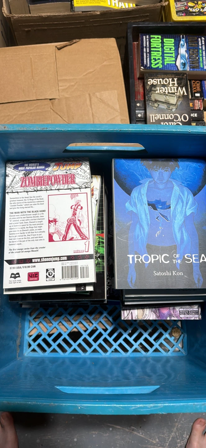 Anime books
