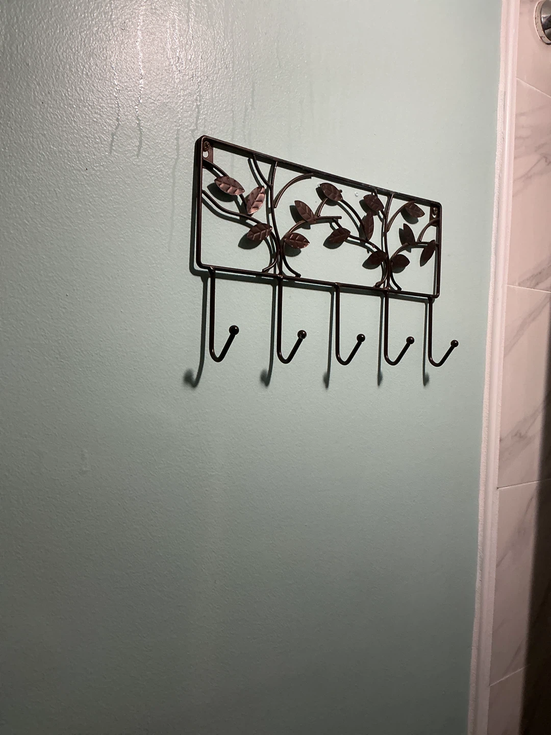Decorative Metal Wall Hook Rack 🏈