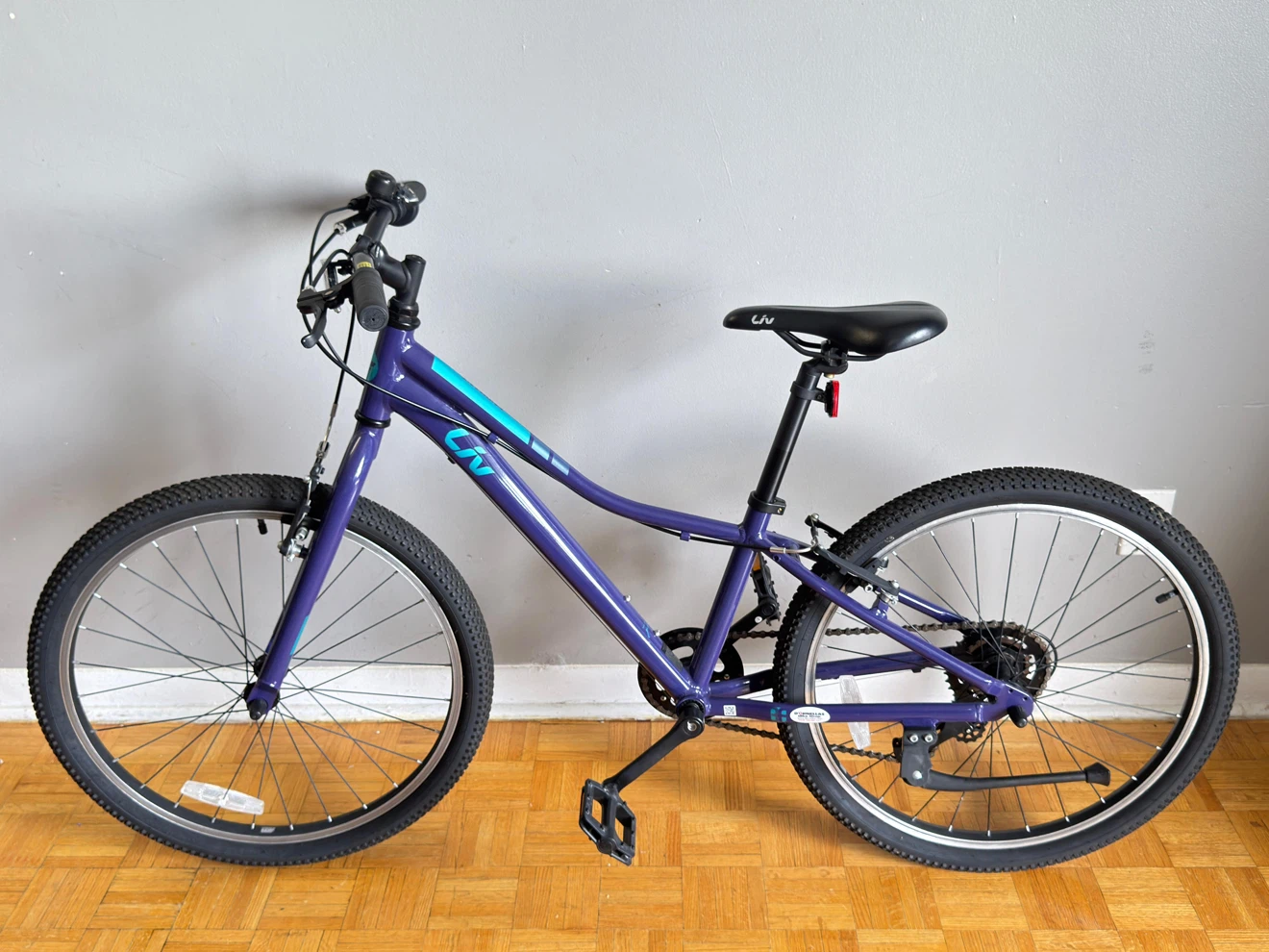 Giant Liv Enchant 24” kids bike