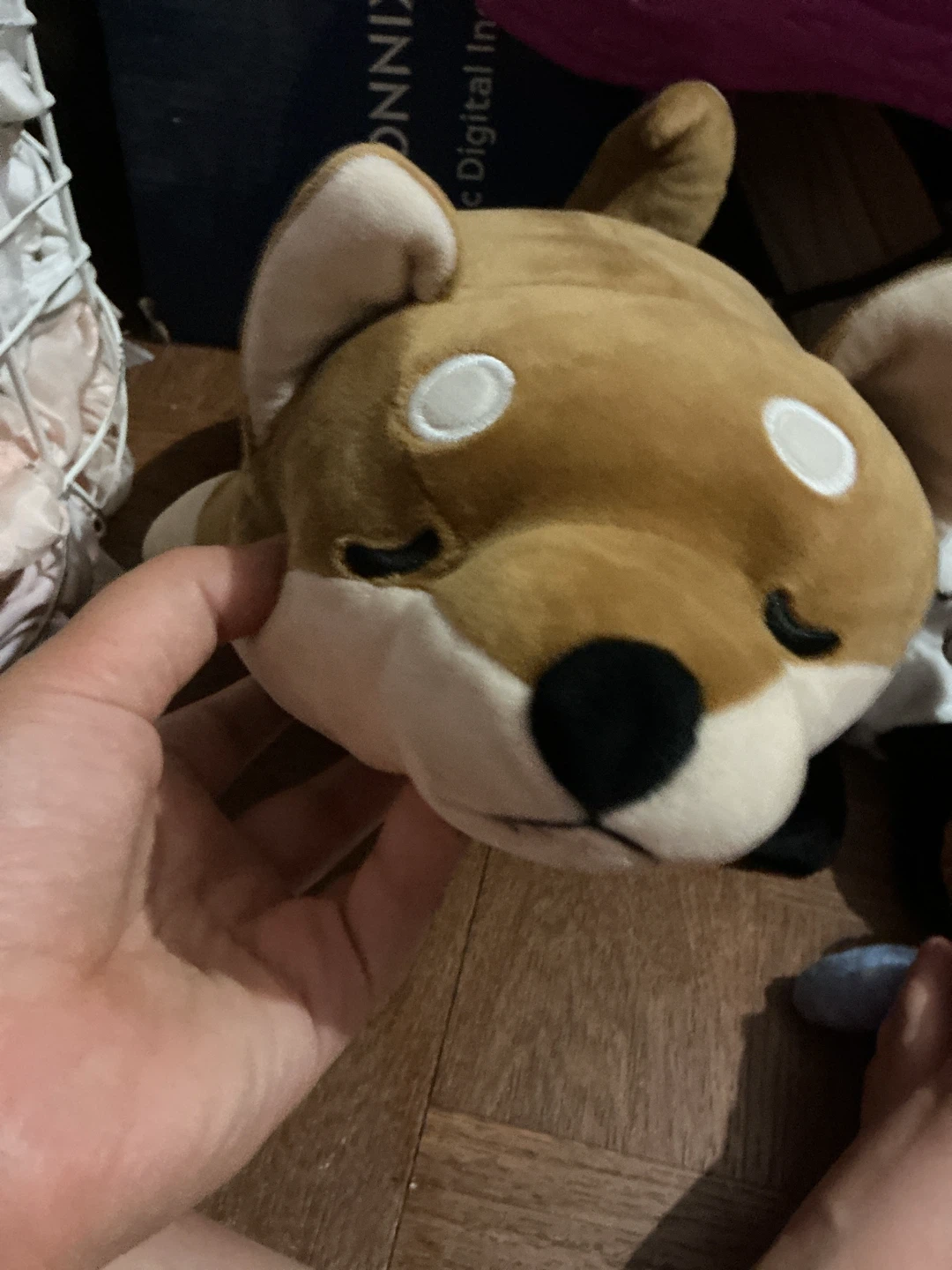 Shiba Inu plush toy 🏈