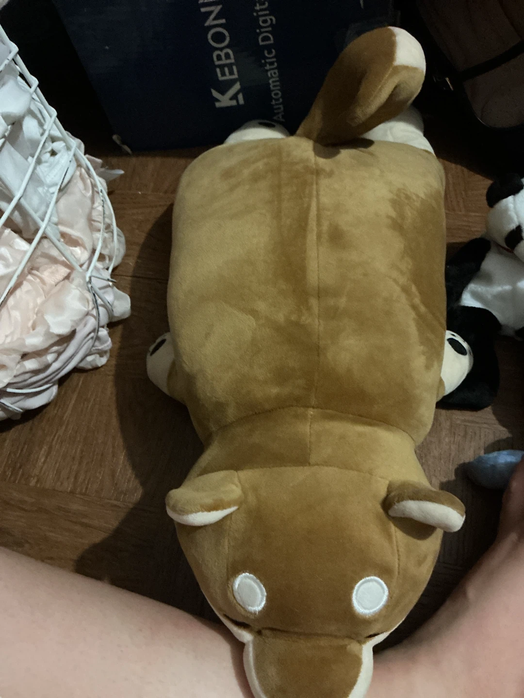 Shiba Inu plush toy 🏈 - photo 2