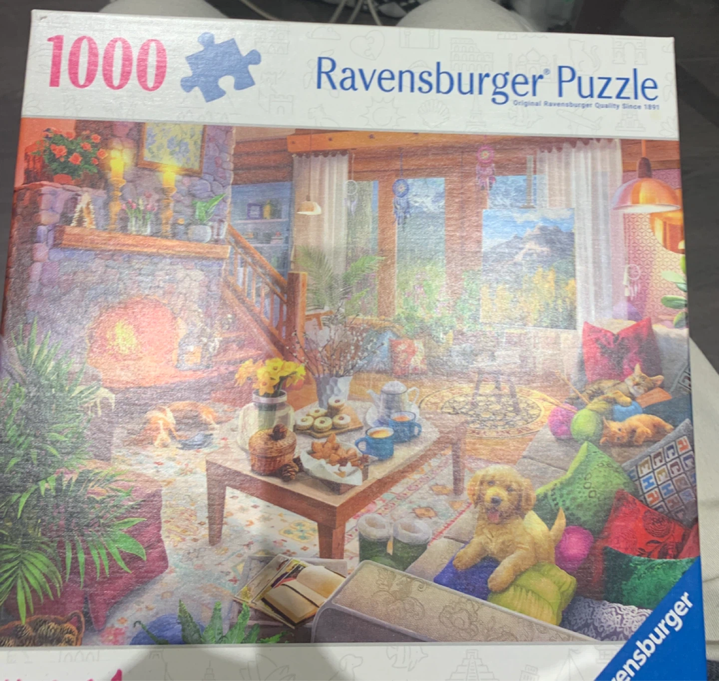 🏈 Ravensburger 1000 Piece Puzzle